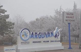Arguvan sis altında
