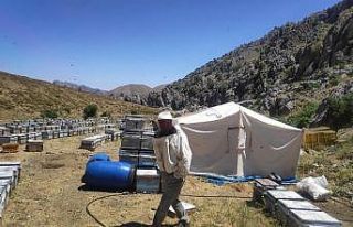 Arıcılık ve İpekböcekçiliğine destek