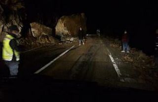 Artvin-Ardahan karayolunda heyelan