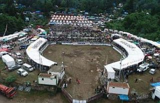 Artvin Valisi Yılmaz Doruk’tan boğacıların taleplerine...