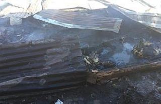 Artvin’de ahır yangınında 27 küçükbaş hayvan...