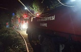 Artvin’in Kemalpaşa ilçesinde yangın