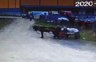At arabasıyla 4 ton demirin çalındığı anlar...