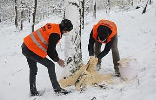 Atakum’dan 42 farklı noktada kuşlara yem