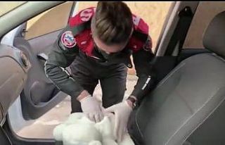 Ataşehir’de ruhsatsız silaha oyuncak ayı kamuflajı