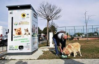 Atık malzemeler, sokak hayvanlarına mama ve barınak...