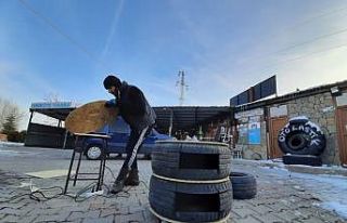 Atıl durumdaki lastikler kedilere yuva oldu