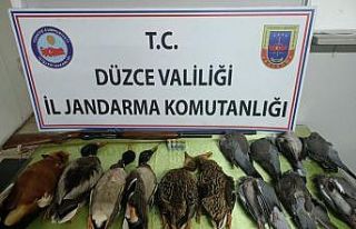 Avcılık adı altında katliam yapan şahıs trafik...
