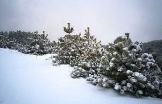 Aydın’da yüksek kesimler karla kaplandı