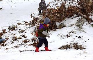 Aydın’ın doğu ilçelerine kar geliyor
