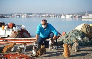 Ayvalık Belediyesi sokaktaki dostlara 10 ton mama...