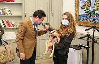 Badem için seferber oldular