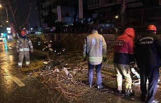 Bağdat Caddesi’nde şiddetli sağanak ve rüzgar...
