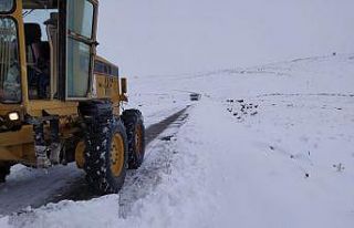 Bağlar Belediyesi aldığı tedbirler kırsalda mağduriyet...