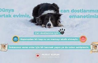 Bakan Kurum’dan "Can dostlarımız için"...