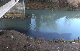 Bartın Irmağı’nda tatlı su kefallerinin görüntüsü...