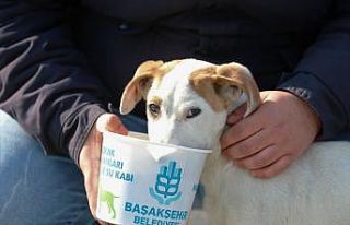 Başakşehir Belediyesi’nden can dostlarına 1 ton...