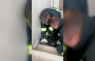 Başı plastik boruya sıkışan kediyi itfaiye erleri...