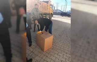 Başkale Belediyesi yaralı yavru köpeğe sahip çıktı