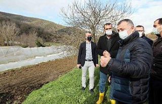 Başkan Büyükakın, zarar gören çiftçileri ziyaret...