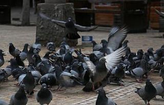 Başkentliler kısıtlamalara uyuyor