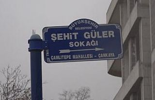 Başkent’te fırtınada devrilme ihtimali olan ağaca...