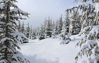 Başyayla’ya yakan kar, kartpostallık görüntüler...