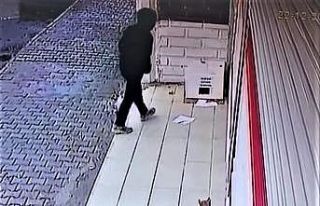 Batman’da bu kadarına da pes dedirten olay: Kedi...