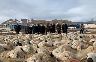 Bayburt’ta "Köyümde Yaşamak İçin Bir Sürü...