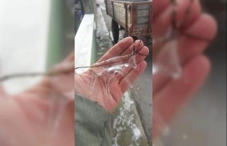 Belediye ekiplerini şaşırtan detay