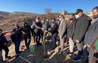 Belen’de yangında zarar gören alana Beşiktaş...