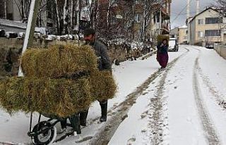 Besicilerin kış ayında zorlu mesaisi