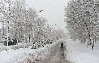 Beyaza bürünen üniversite kampüsünde kartpostallık...