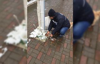 Biga Belediyesi soğuk havalarda sokak hayvanlarını...