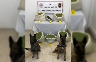 Bingöl’de 117 kilogram esrar ele geçirildi
