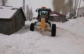 Bingöl’de kar 281 köy yolunu ulaşıma kapattı