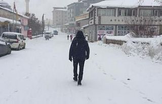 Bingöl’de kar yeniden etkisini gösterdi