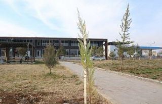 Bismil Devlet Hastanesi bahçesine 600 fidan dikildi
