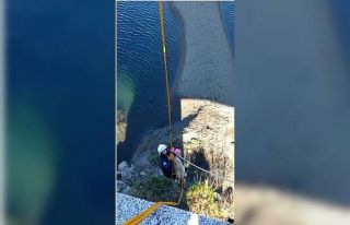 Bitkin haldeki kuğu ve ırmağa düşen köpek kurtarıldı