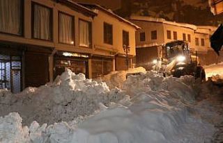 Bitlis Belediyesinin karla mücadelesi gecede devam...