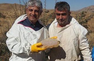 Bitlis’e tarımsal ve hayvansal ürünlerden 2,5...
