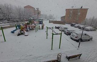 Bitlis’te beklenen kar yağışı başladı