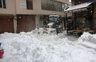 Bitlis’te duraklar, tabelalar, evler kardan kayboldu