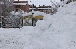 Bitlis’te otobüs durakları ve tek katlı evler...
