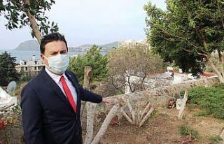 Bodrum’da şehit pilot anısına dikilen ağaçları...