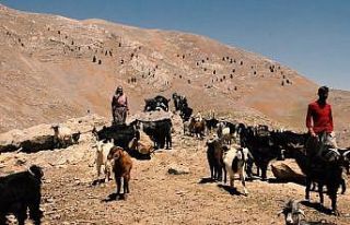 Bolkar Dağlarının konargöçer Yörüklerinin yaşamı...