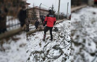 Bolu’da bahçe demirlerine sıkışan köpeği itfaiye...