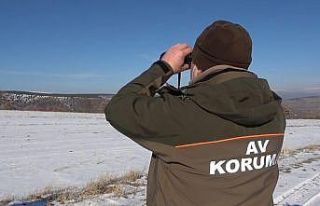 Bozkırın yaban hayatı korunuyor