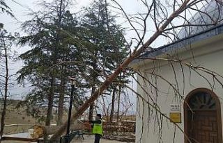 Bozüyük’te fırtına hasara yol açtı