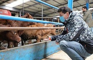 ’Bu destekleri kaçırmayın’ çağrısı